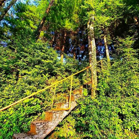 Kuca Za Odmor "Livadica" Villa Netretic Dış mekan fotoğraf