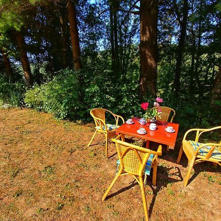 Kuca Za Odmor "Livadica" Villa Netretic Dış mekan fotoğraf