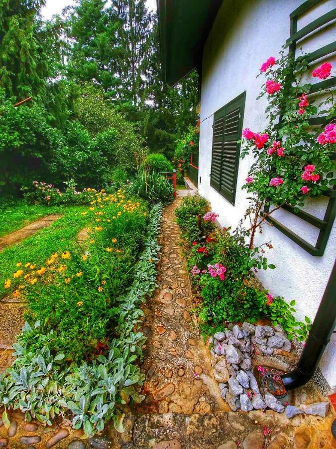 Kuca Za Odmor "Livadica" Villa Netretic Dış mekan fotoğraf