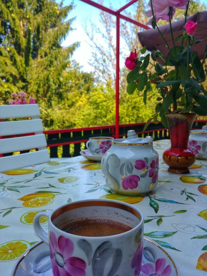 Kuca Za Odmor "Livadica" Villa Netretic Dış mekan fotoğraf