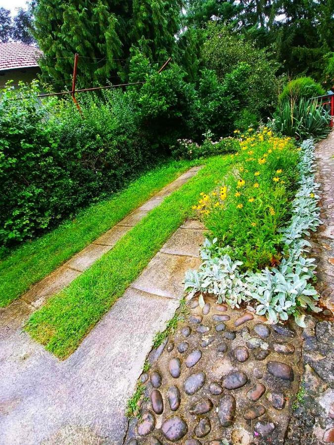 Kuca Za Odmor "Livadica" Villa Netretic Dış mekan fotoğraf