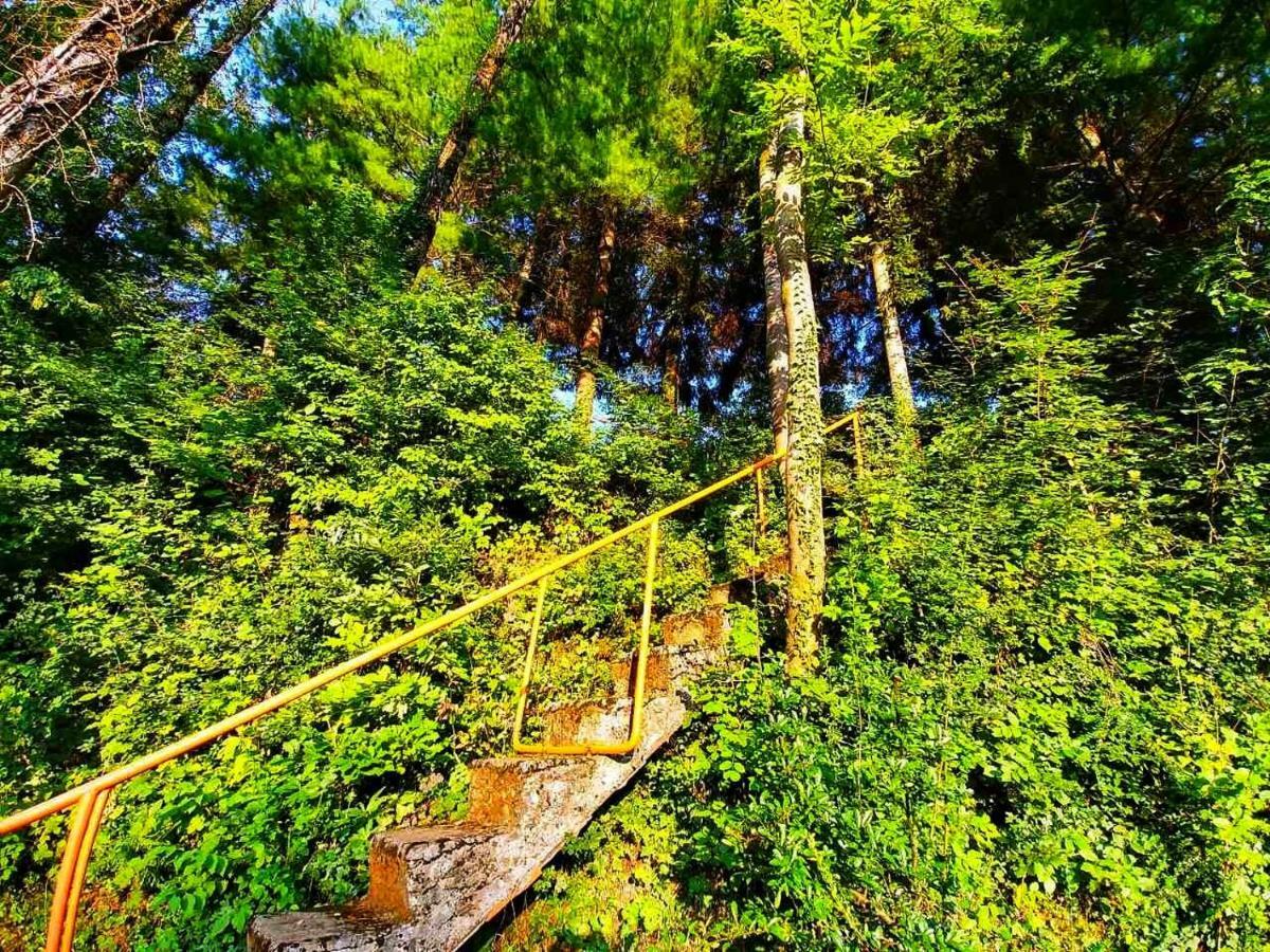Kuca Za Odmor "Livadica" Villa Netretic Dış mekan fotoğraf